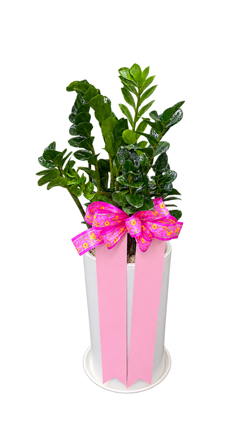 691652c21093a27203269897fbb8143e_1788938876_0084.png